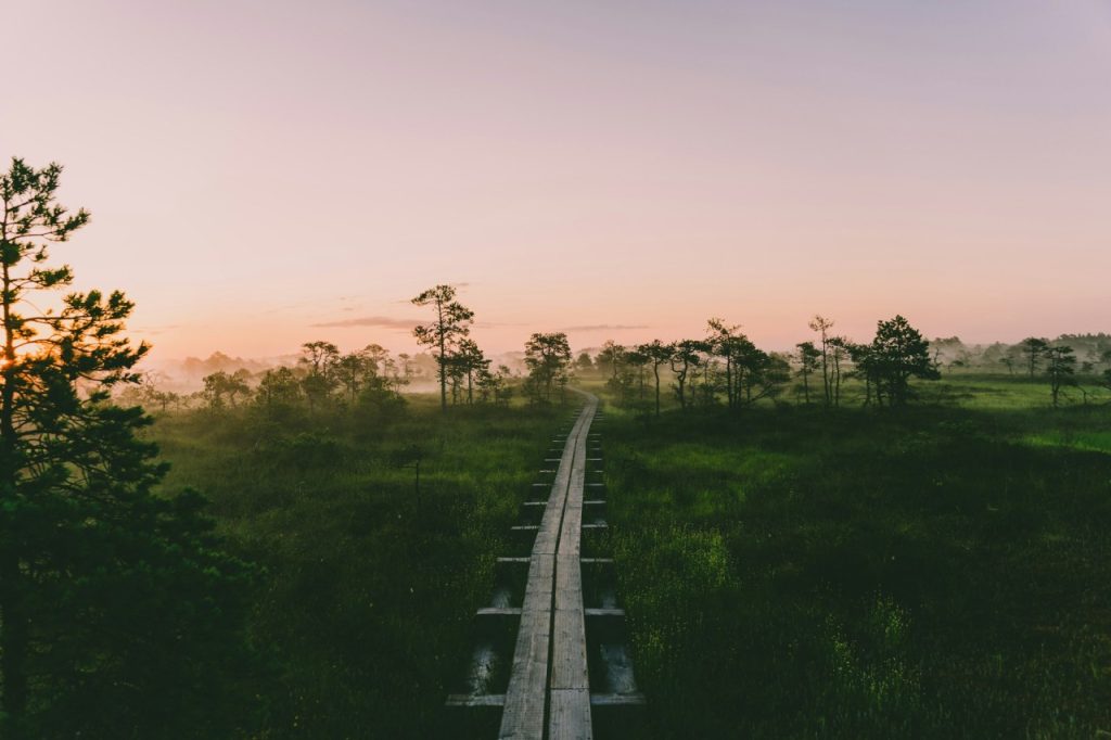 Kakerdaja Raba en Estonie